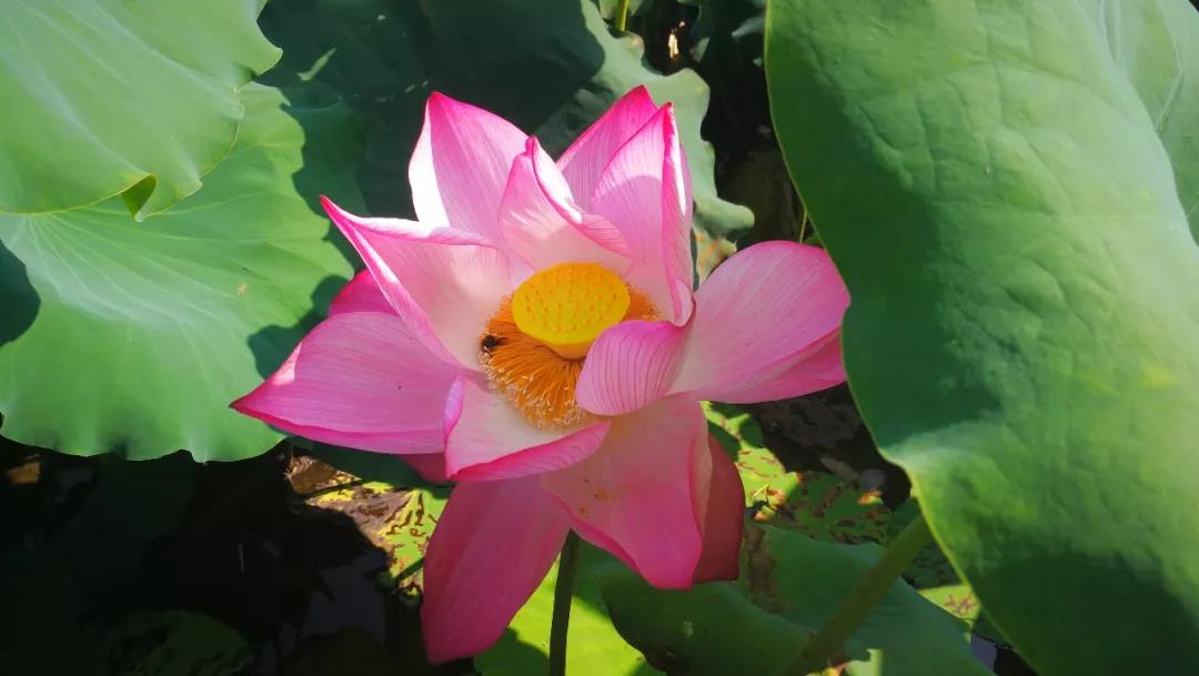 微信圖片_20180813094208.jpg 微信圖片_20180813094208.jpg